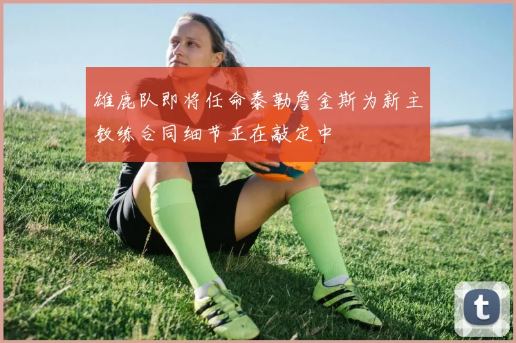 雄鹿队即将任命泰勒詹金斯为新主教练合同细节正在敲定中
