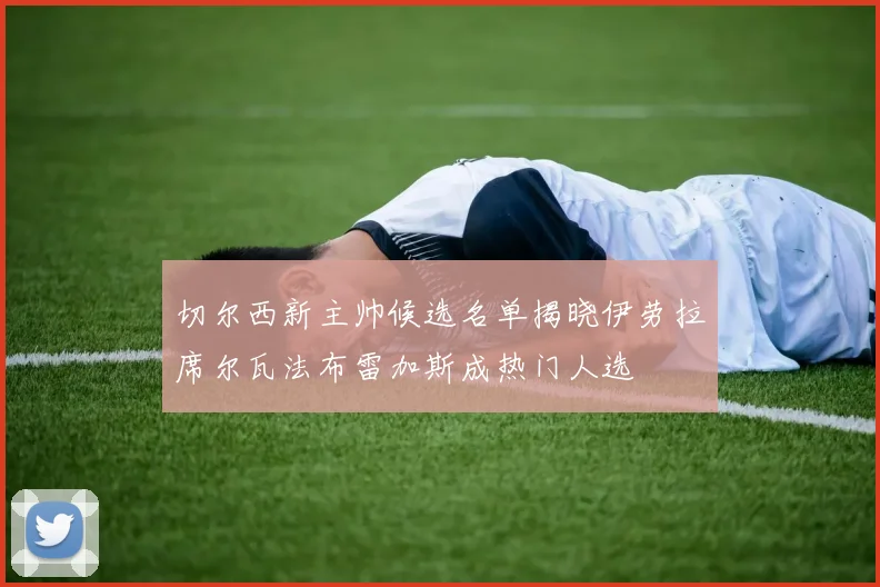 切尔西新主帅候选名单揭晓伊劳拉席尔瓦法布雷加斯成热门人选