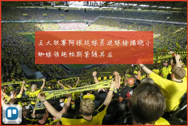 五大联赛阿根廷球员进球榜揭晓小蜘蛛领跑帕斯紧随其后