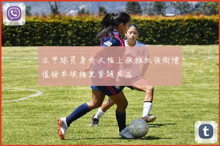 法甲球员身价大幅上涨雅凯领衔增值榜单埃梅里紧随其后